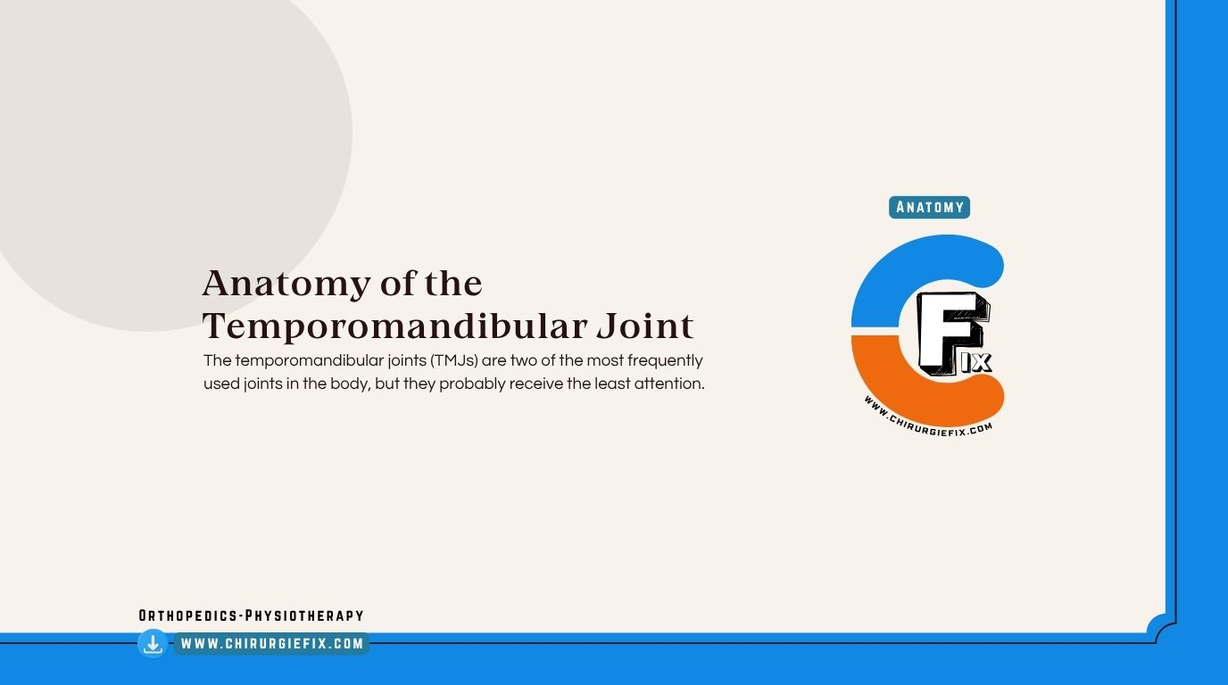 Temporomandibular Joint