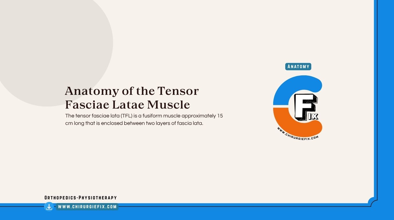 Tensor fasciae lata