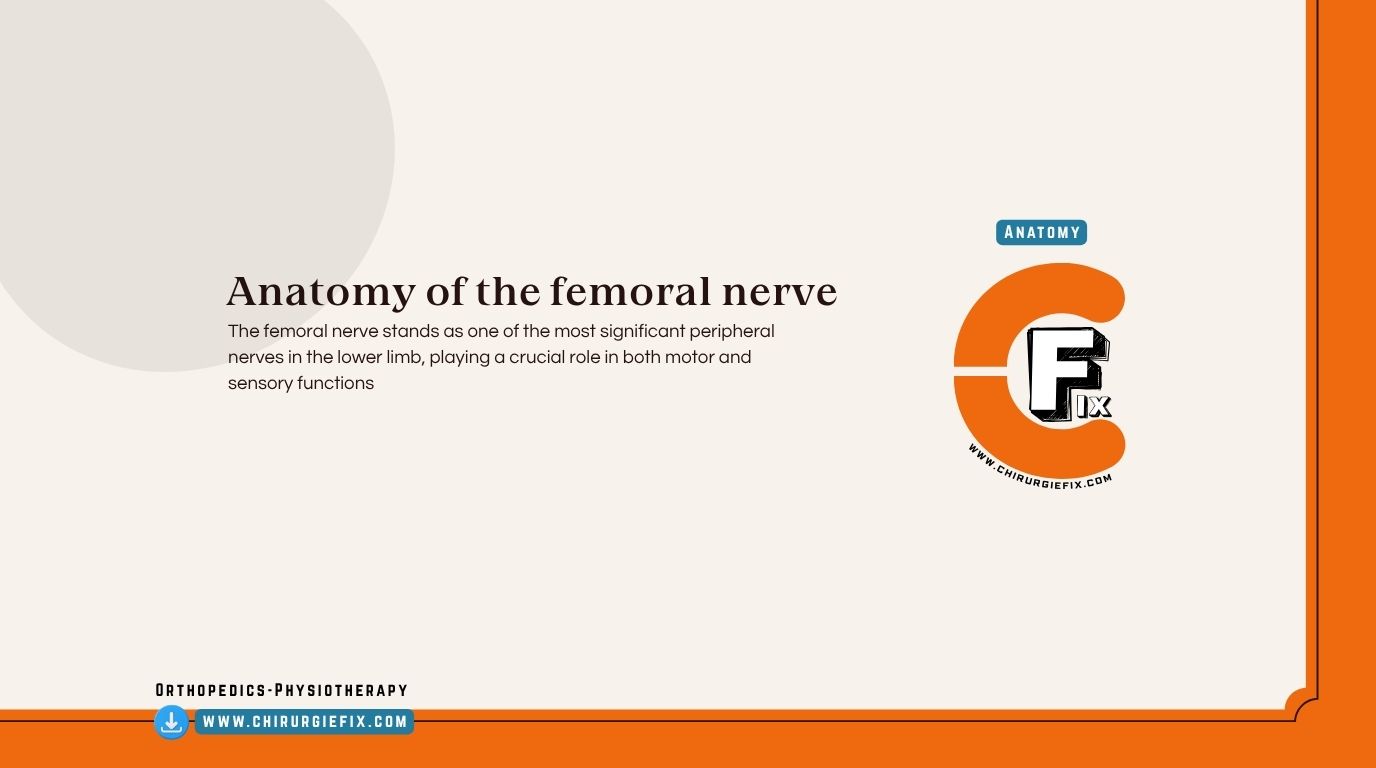 Femoral Nerve