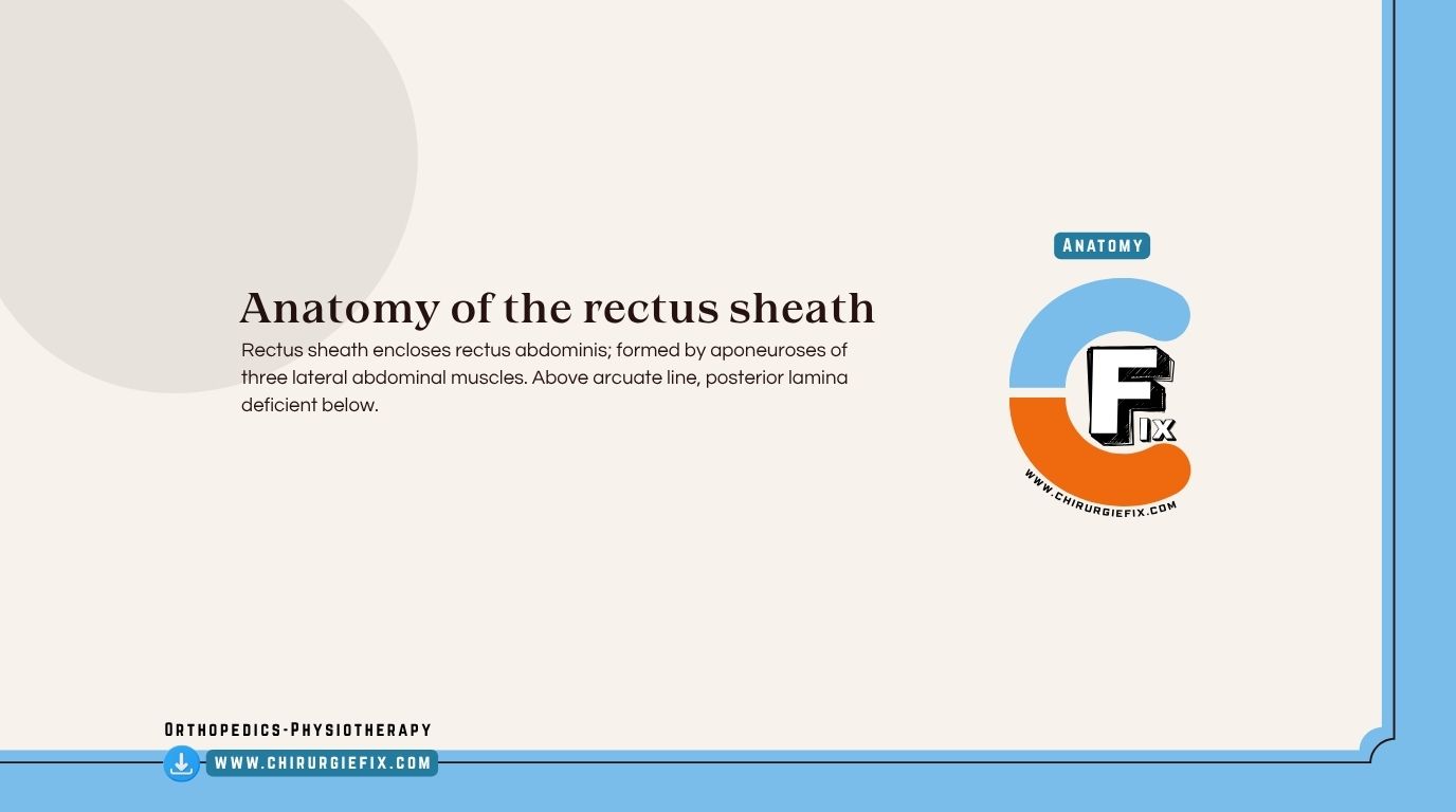Rectus Sheath
