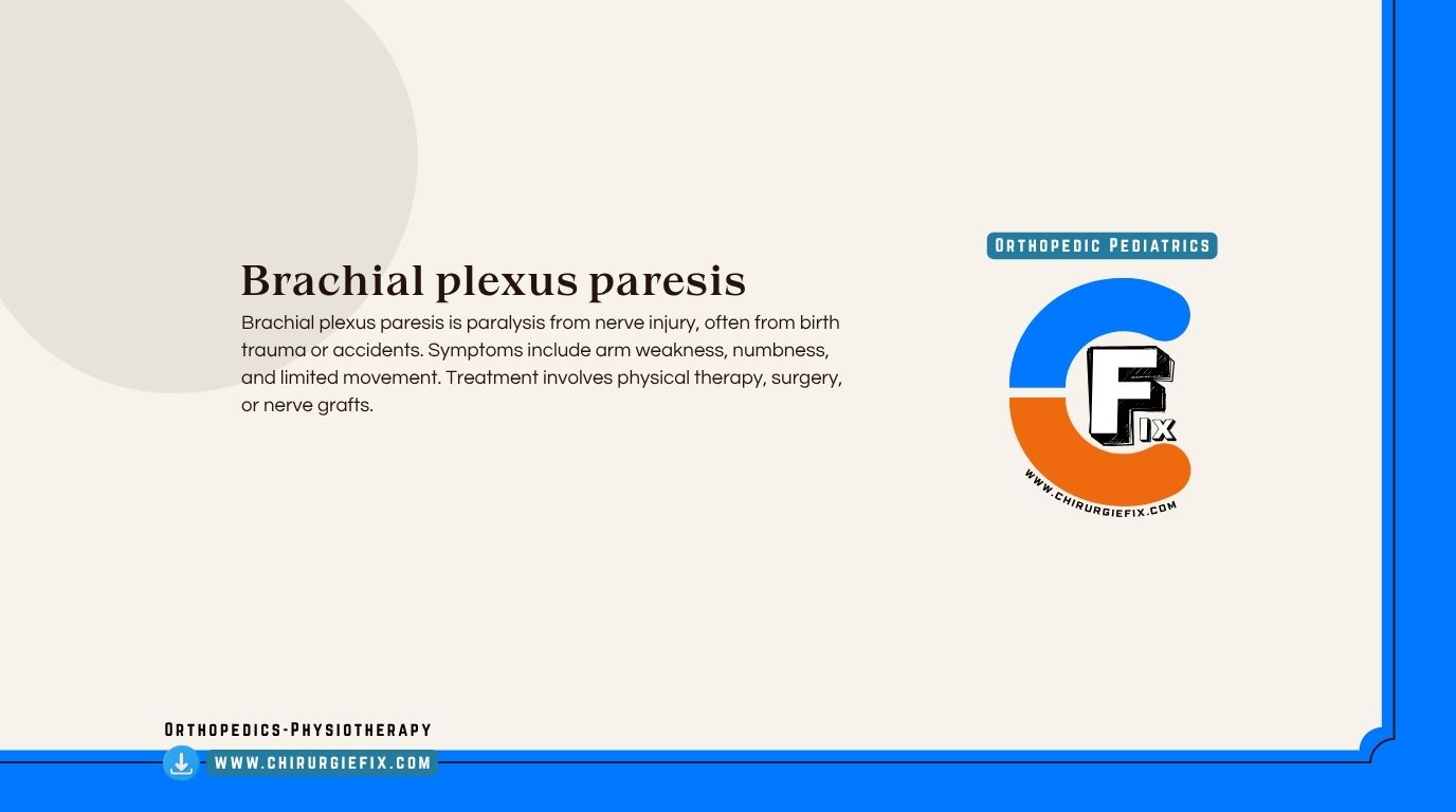 brachial plexus palsy