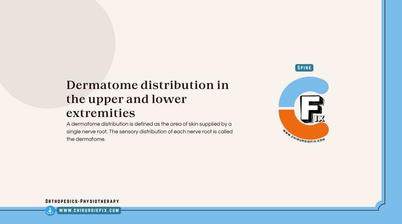 Dermatome