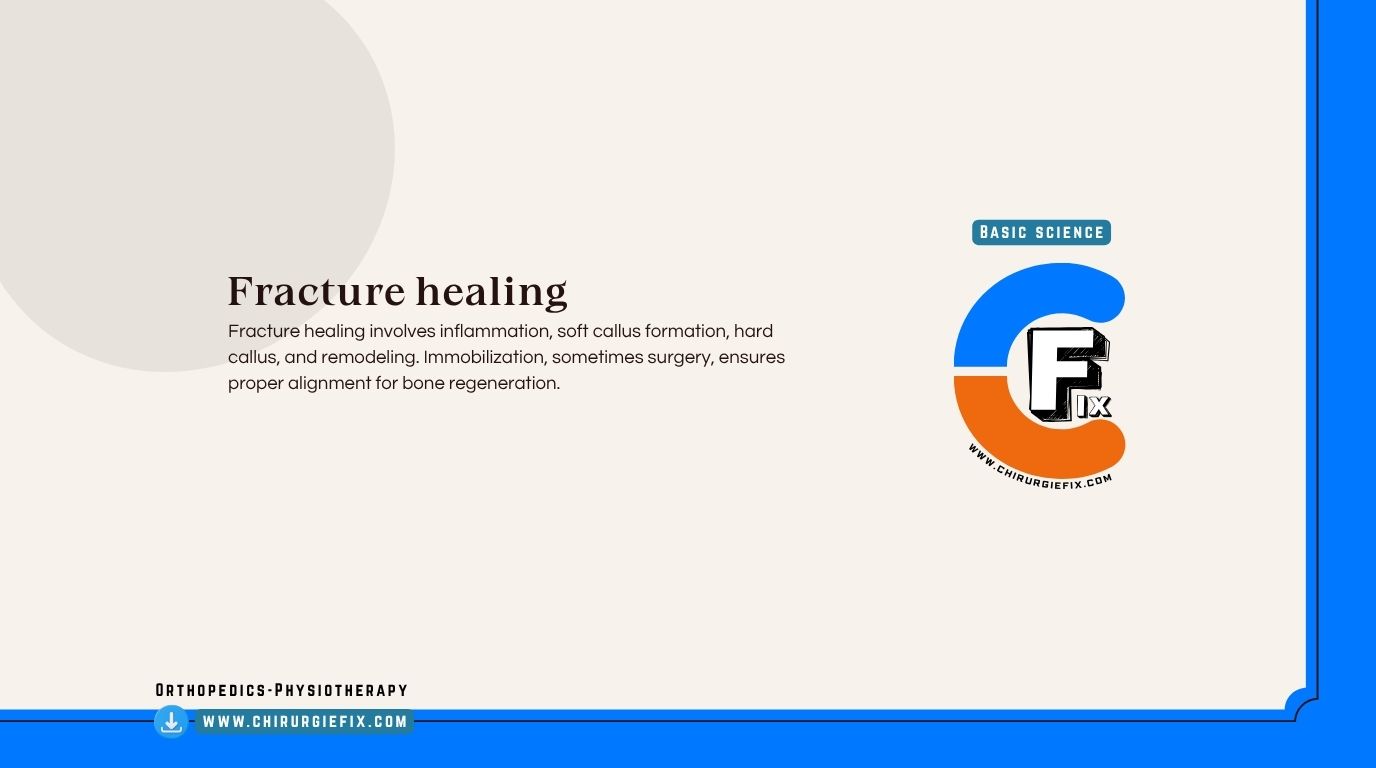 Fracture Healing