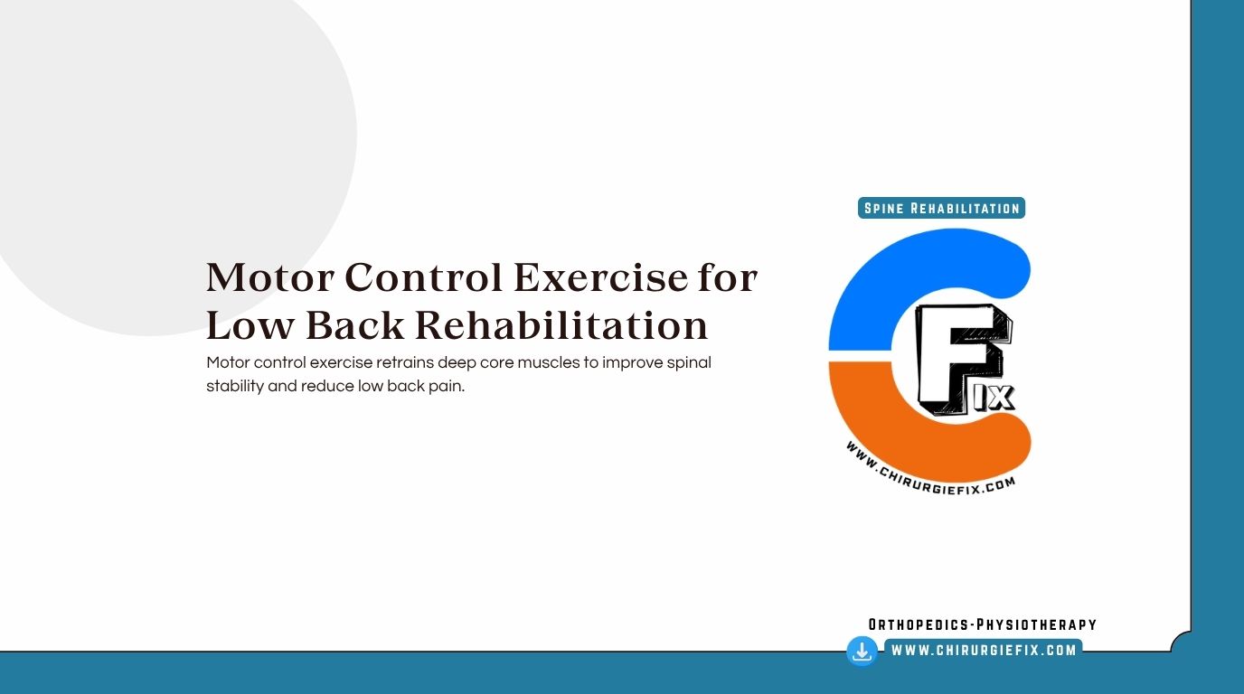 motor control exercise low back