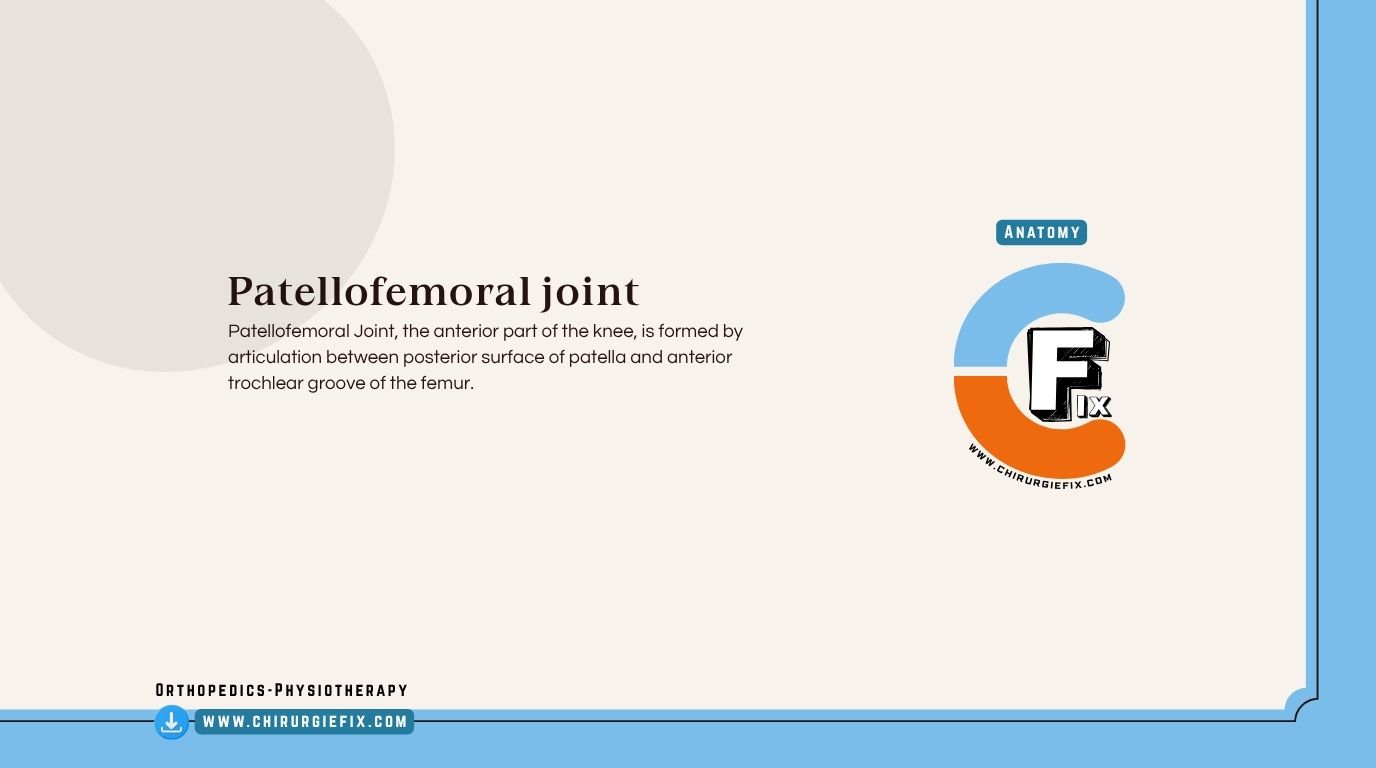 Patellofemoral Joint
